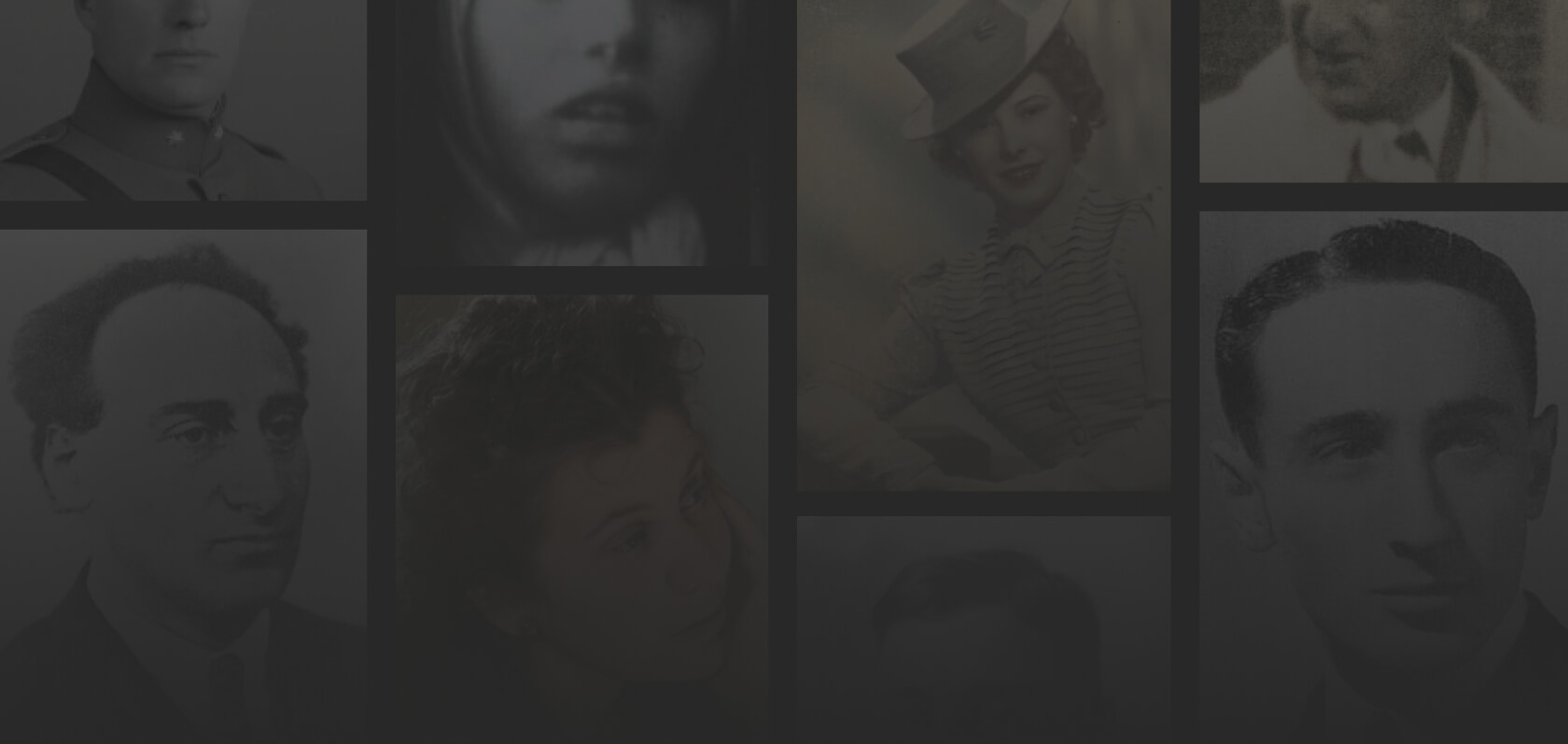 Search Header Image