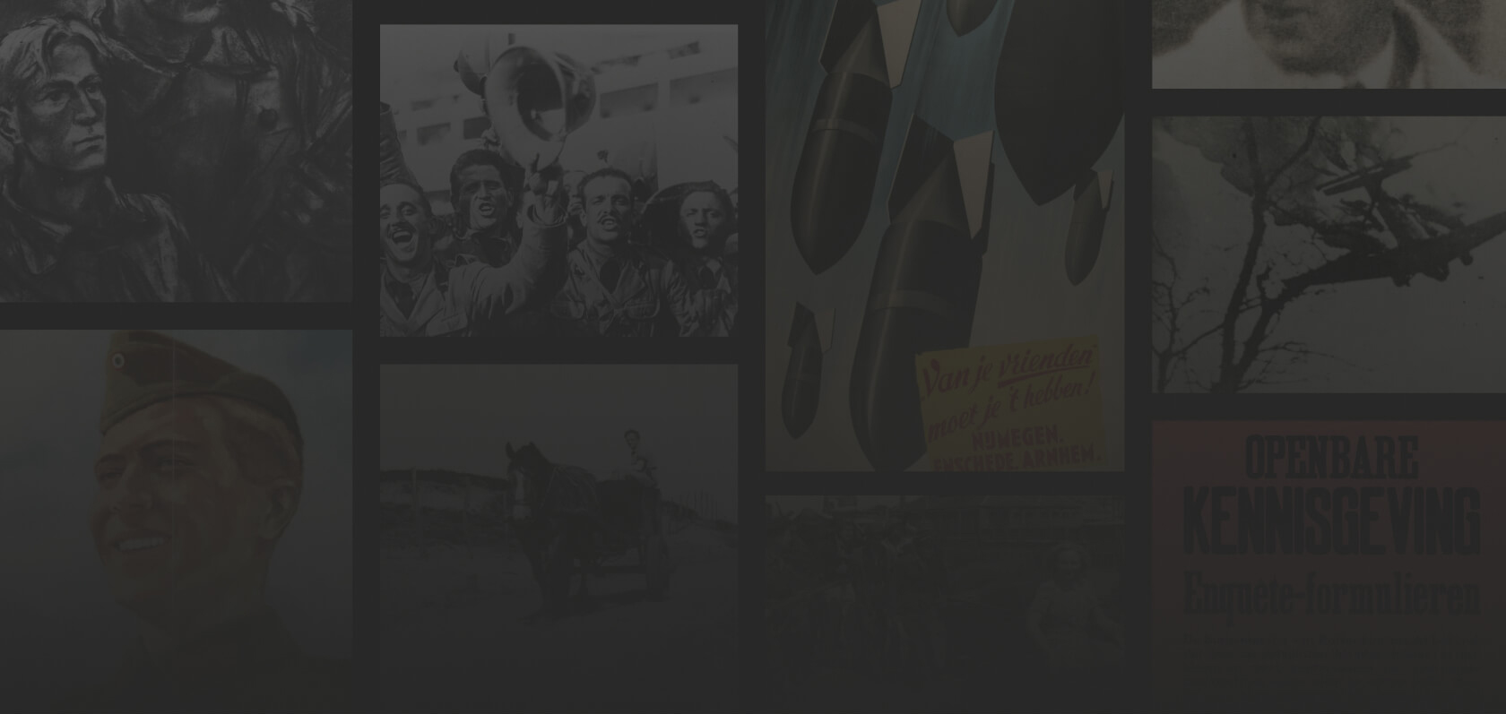 Search Header Image